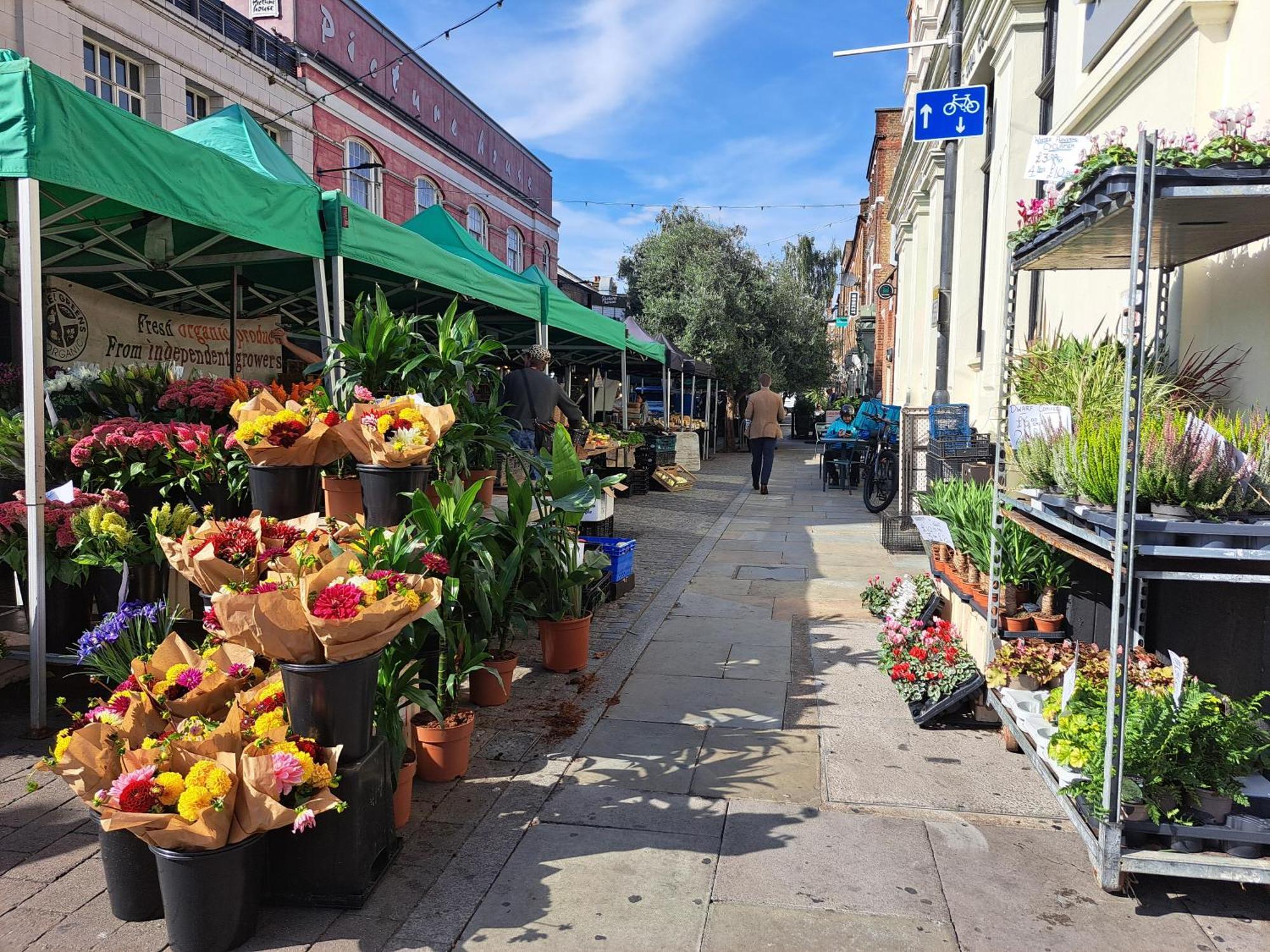Clapham Serenity Garden Retreat With Free Parking ロンドン エクステリア 写真